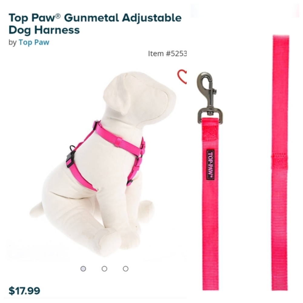 Dog's leash and harness